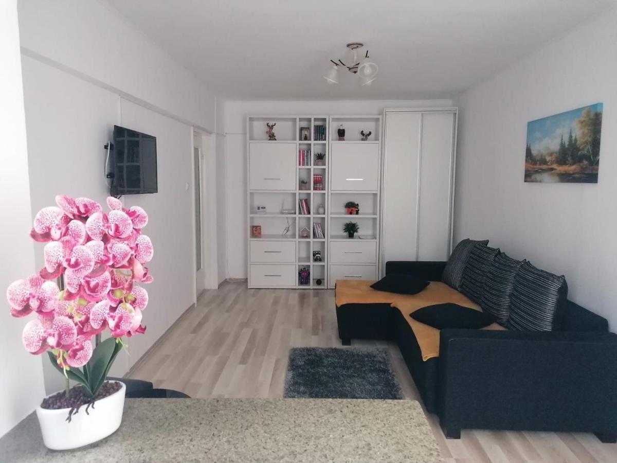 Apartament Racadau Daire Braşov Dış mekan fotoğraf